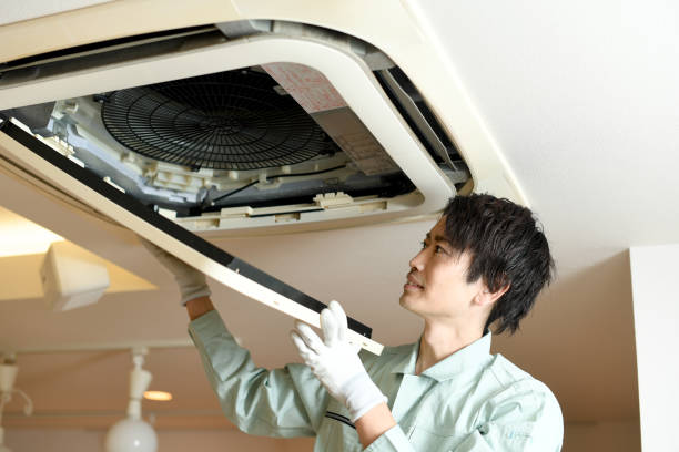 Best Air Vent Cleaning Services  in Merryville, LA